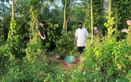 Phát hiện người phụ nữ mang thai treo cổ tự tử trong vườn tiêu