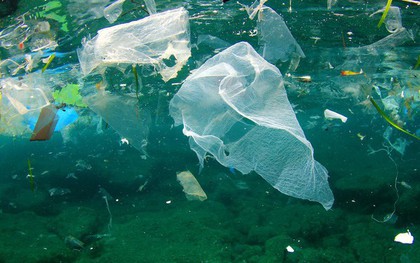 Cùng tìm hiểu về giải pháp giúp thế giới giải quyết nạn ô nhiễm chất thải plastic