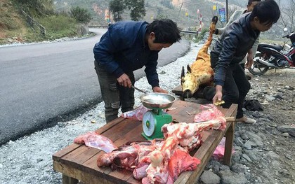 Xót xa xẻ thịt trâu chết rét, bày bán ven quốc lộ