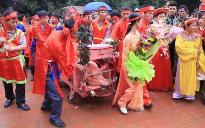 Lễ chém lợn ở Ném Thượng: Sau khi đưa rước quanh làng, hai "ông ỉ" được đem vào nơi kín đáo để “trảm”