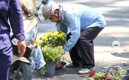 Người dân hào hứng lựa những chậu hoa tươi đem về nhà sau khi bế mạc Hội hoa xuân ở Sài Gòn