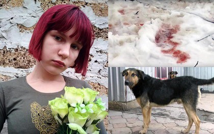 Thảm kịch trên đường đi học về: Bé gái 12 tuổi bị đàn chó hoang tấn công, tử vong đầy đau đớn