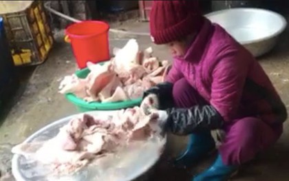 Ngâm oxy già để tẩy trắng thủ lợn