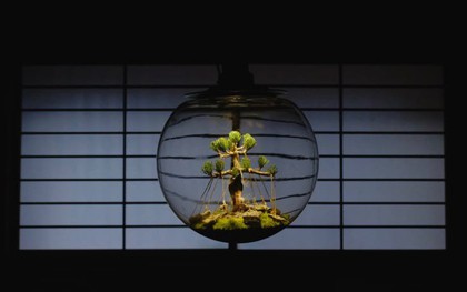 Sống ẩn dật với bóng đèn hỏng, tivi cũ, người đàn ông Nhật khiến bao người ngỡ ngàng khi nhìn những thành quả nghệ thuật thực sự