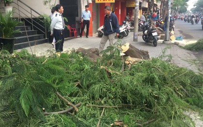Cây xanh bật gốc đè trúng 2 người dân đang lưu thông trên phố Sài Gòn