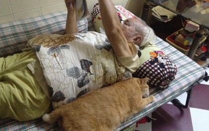Chú mèo Messi mập ú: Xưa là mèo hoang, 10 năm qua lại là bạn thân nhất của ông nội 91 tuổi!