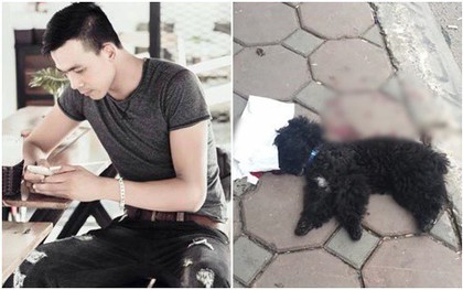 Để chó Poodle chạy rông ra ngoài đường bị ô tô cán chết, nam thanh niên nhất quyết đuổi theo yêu cầu lái xe dừng lại nói chuyện gây tranh cãi