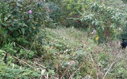 Tá hỏa phát hiện thi thể nam thanh niên trong rừng