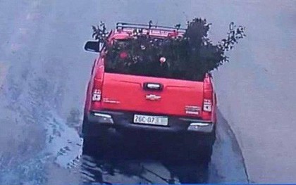 Công an trích xuất camera truy tìm chiếc xe ô tô vào vườn trộm cây hoa hồng cổ gần 20 tuổi
