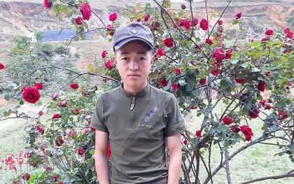 Chủ cây hoa hồng cổ 20 năm tuổi ở Sơn La bị trộm không còn hy vọng tìm được