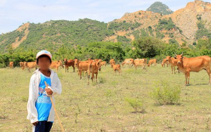 Long An: Thiếu niên 16 tuổi nghi bị nhóm người của một thầy giáo chém tử vong khi lao vào bảo vệ cha