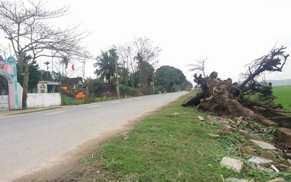 Khởi tố tài xế gây tai nạn làm 7 người thương vong trong đêm Giao thừa