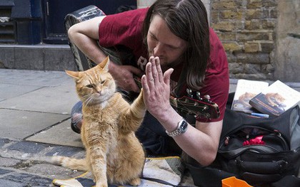 Cuộc đời chàng nghệ sĩ nghèo, nghiện ngập, vô gia cư bước sang trang mới nhờ... một chú mèo!