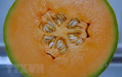 Australia: 3 người tử vong vì nhiễm khuẩn Listeria do ăn dưa lưới