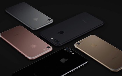 iPhone SE gây sốc khi thắng cả iPhone X trong top 5 điện thoại Táo đáng mua nhất 2018