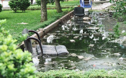 Người dân chung cư N6 Đồng Tàu khốn khổ khi sống chung với nước thải bể phốt vì vỡ đường ống