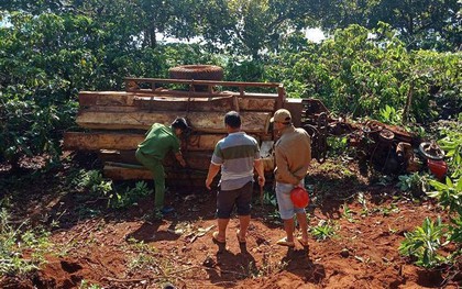Lật xe công nông chở gỗ lậu, 3 nam thanh niên thương vong