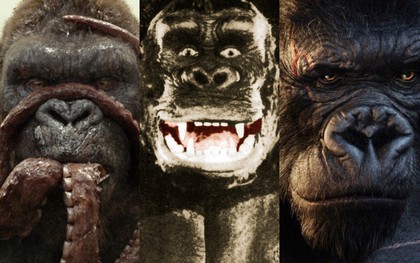 5 "chàng" Kong trong lịch sử Hollywood, không tên khỉ khổng lồ nào lầy bằng George của "Rampage"