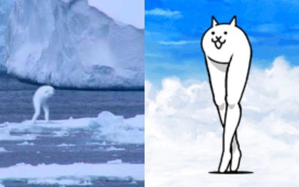 Huyền thoại quái vật Ningen dài 30 mét ở Nam Cực: Quá sức vô tích sự, tới mức khoa học còn chẳng thèm tìm kiếm hay nghiên cứu làm gì