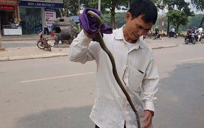 Hà Nội: Người dân ở chung cư Linh Đàm lo lắng khi liên tục phát hiện rắn rơi từ trên cao xuống