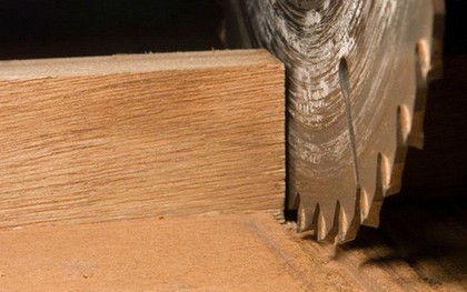 Phát hiện mùn cưa, phôi gỗ, vỏ bào… có thể giúp kết dính bê tông chắc và chống thấm tốt hơn