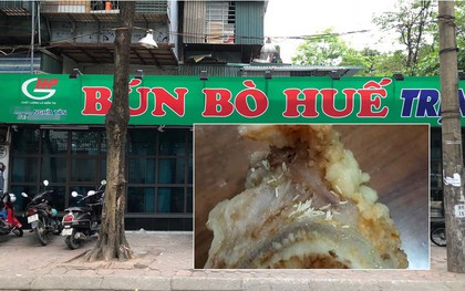 Bị thực khách đăng ảnh xương trong bát bún có dòi, cửa hàng bún bò Huế ở Hà Nội cho rằng đó chỉ là mùn cưa sườn