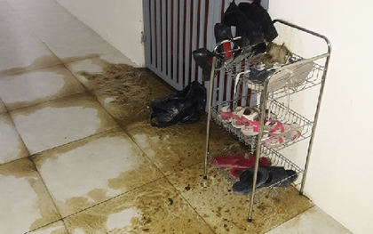 Nữ phóng viên bị “khủng bố” bằng phân bò trước cửa phòng