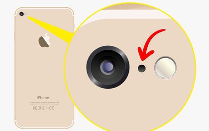 Đây là 9 vật dụng kỳ cục bạn thấy cực quen mà chưa bao giờ có thời gian tìm hiểu