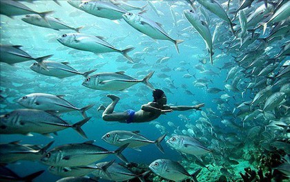 Điều gì đã khiến tộc "người cá" tại Indonesia có thể lặn sâu tới 70m và nhịn thở 13 phút dưới nước?