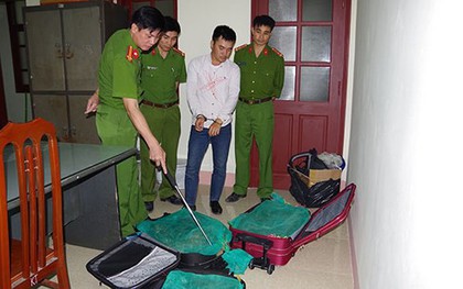 Hai vợ chồng vận chuyển 130kg rắn hổ mang chúa quý hiếm