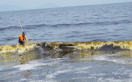 Phát hiện tảo trong nước biển đổi màu bất thường khiến nhiều người xôn xao tại Đà Nẵng