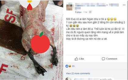 Nàng dâu làm thịt con ngan nặng từ 4kg xuống còn 2kg, không những sạch lông mà da cũng chẳng còn khiến hội chị em xôn xao