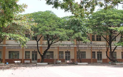 Tạm đình chỉ công tác cô giáo "im như thóc"