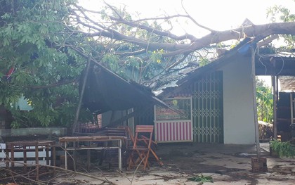 Đắk Lắk: Lốc xoáy làm một người thiệt mạng, hàng trăm căn nhà tốc mái