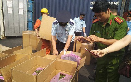 Phát hiện 2,5 tấn ma túy cực độc tại cảng Hải Phòng