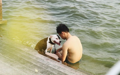 Nắng nóng oi bức, người dân Thủ đô bế chó cưng ra Hồ Tây cùng tắm để giải nhiệt dù có biển cấm