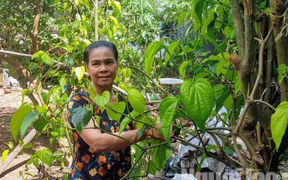 Kỳ lạ người phụ nữ không ăn cơm nhưng vẫn khỏe mạnh, tăng cân