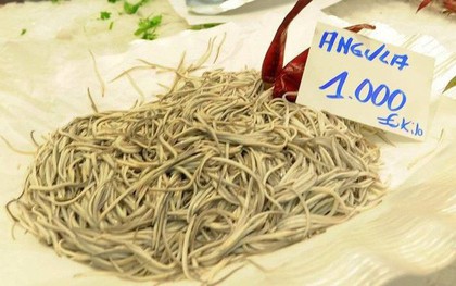 Nhạt nhẽo, không mùi vị nhưng thực phẩm này lại có giá bán cao không tưởng: 1.000 euro/kg