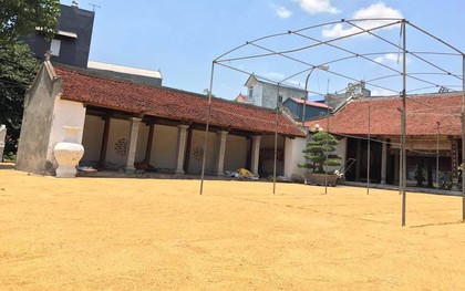 Cô gái phi xe máy một mạch về quê phơi giúp mẹ 5 tấn thóc khiến cư dân mạng bồi hồi nhớ về một thời đã xa