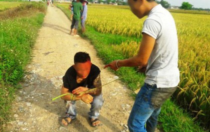 Côn đồ xăm trổ “bảo kê” máy gặt lúa: Muốn gặt phải nộp 5 triệu đồng