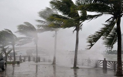 Việt Nam sẽ hứng chịu bao nhiêu cơn bão trong năm 2018?