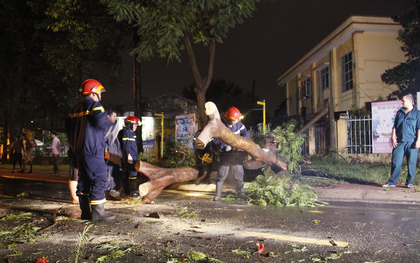 Mưa lớn kèm gió lốc khiến cây cổ thụ ngã đổ kéo gãy cột điện, hàng trăm người dân Sài Gòn sống trong bóng tối