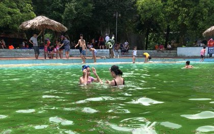 Giám đốc khu du lịch Khoang Xanh - Suối Tiên lên tiếng về hình ảnh rong rêu, xác côn trùng nổi đầy trong bể bơi
