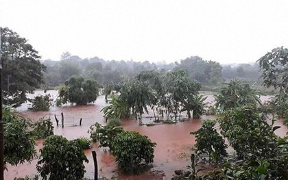 Mưa lớn, lũ bất ngờ tràn về cuốn trôi nhiều tài sản của người dân