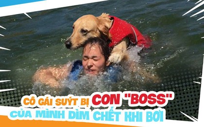 Dắt cún cưng đi bơi, cô gái trẻ suýt bị chính con "boss" của mình dìm chết