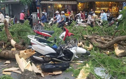 Sức khỏe của những nạn nhân bị cây đổ đè trúng ở Hà Nội giờ ra sao?