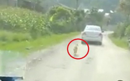 Clip: Sen đi lấy chồng, boss đuổi theo xe đưa dâu cả một đoạn dài cho đến khi khuất bóng