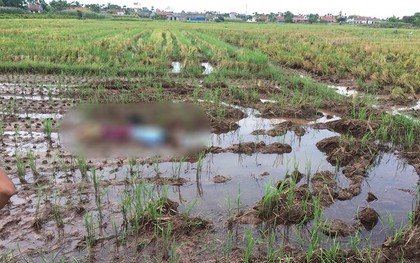 Nam Định: Phát hiện người phụ nữ tử vong giữa cánh đồng vắng