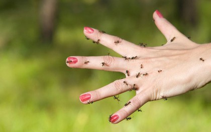 Cảm giác như cả người lúc nhúc côn trùng: căn bệnh lạ kỳ đang khiến gần trăm nghìn người phải khổ sở mỗi ngày