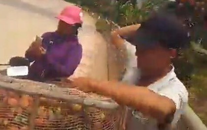 Sự thật về clip người dân đổ bỏ vải xuống sông vì bị trả giá quá "bèo"